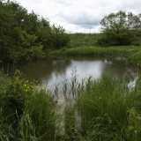 E mentre lo zefiro primaverile crea piccole increspature sulle scintillanti acque, noi ci immergiamo completamente in questa area di pace, piccolo rifugio all�interno dell�incontaminata e selvaggia Murgia pugliese